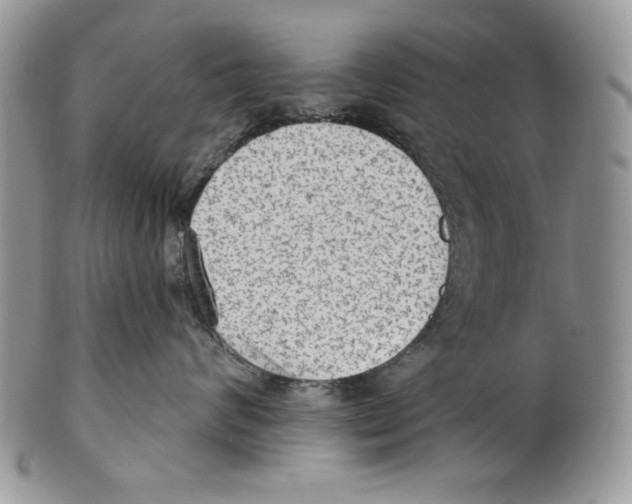 X0000101150624200807251049