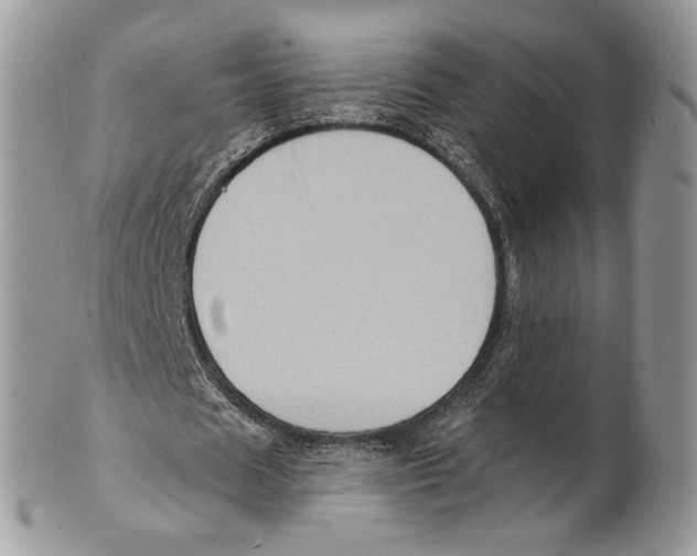 X0000101150625200807251049