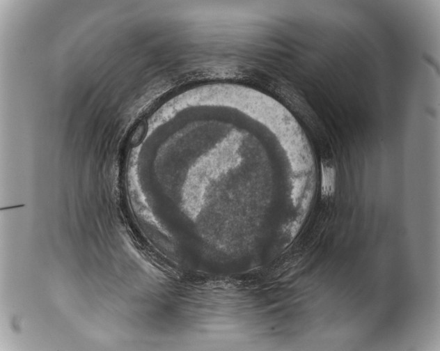 X0000101150627200807251049