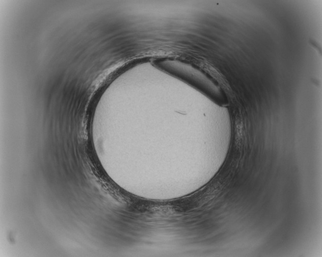 X0000101150628200807251049