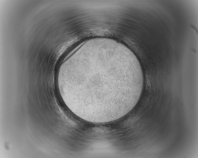 X0000101150630200807251049