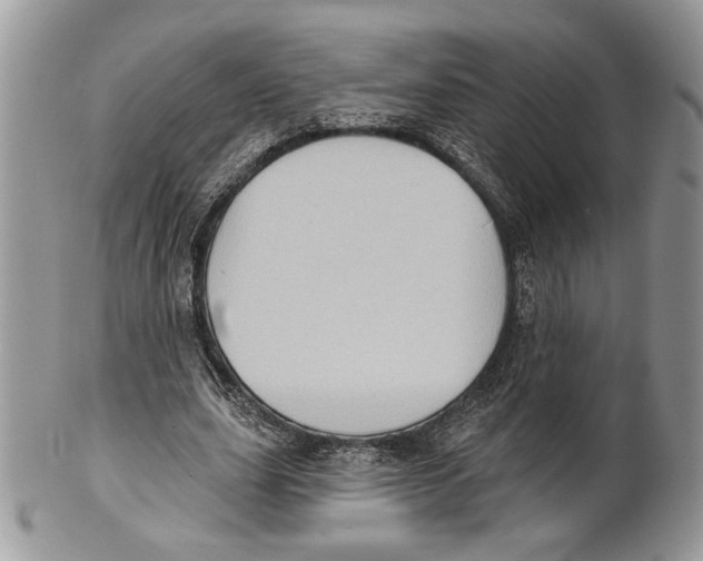 X0000101150631200807251049