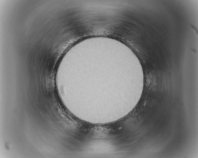 X0000101150632200807251049