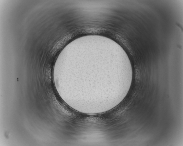 X0000101150633200807251049