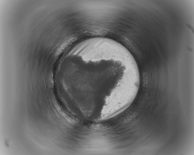 X0000101150634200807251049