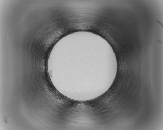 X0000101150635200807251049