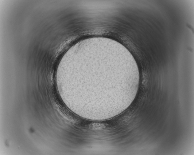 X0000101150636200807251049