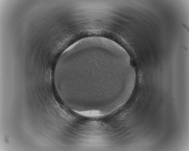 X0000101150637200807251049