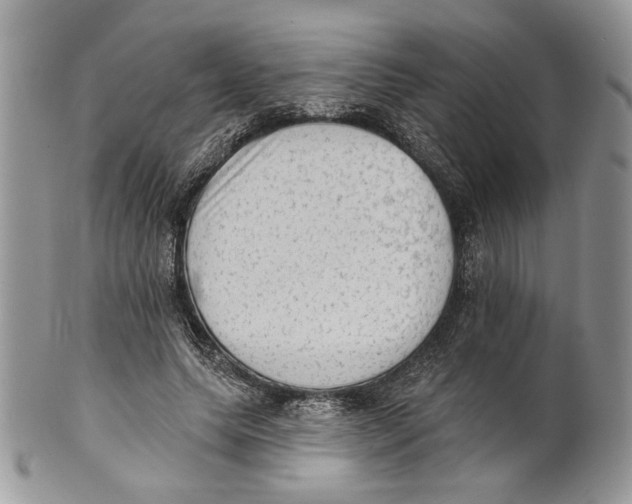X0000101150639200807251049