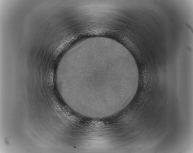 X0000101150640200807251049