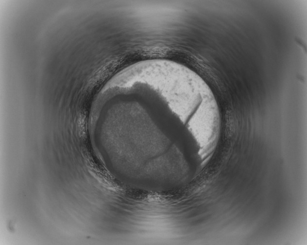 X0000101150641200807251049