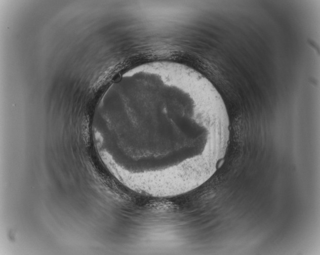 X0000101150642200807251049