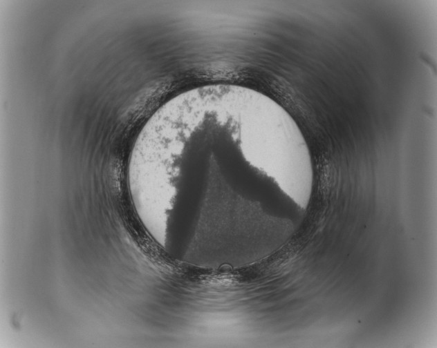 X0000101150643200807251049