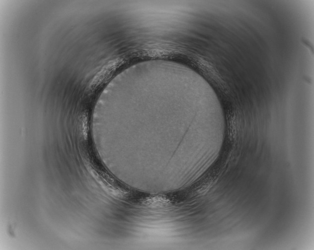 X0000101150644200807251049