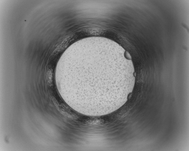 X0000101150646200807251049