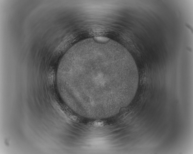 X0000101150647200807251049