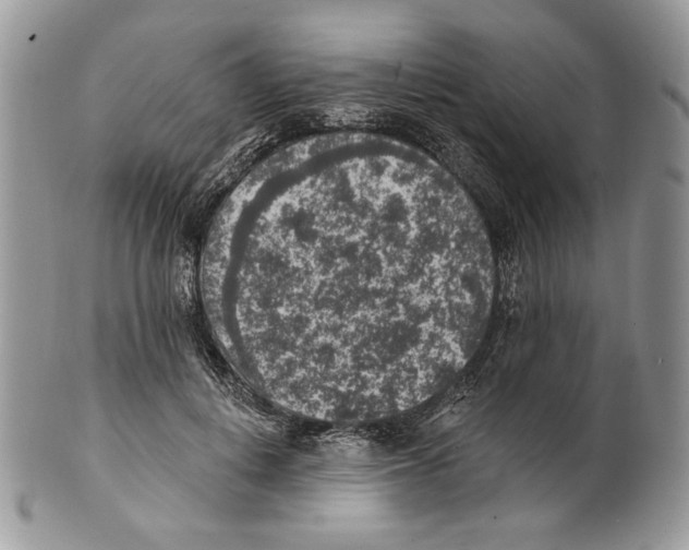 X0000101150648200807251049