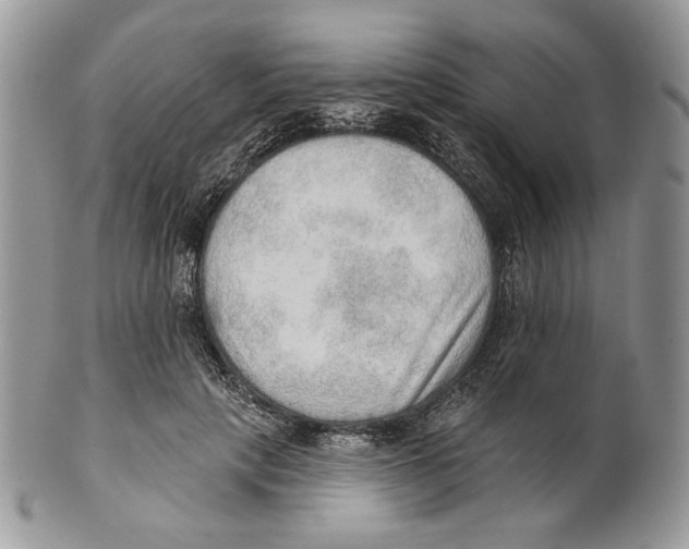 X0000101150649200807251049