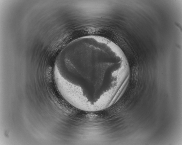 X0000101150650200807251049