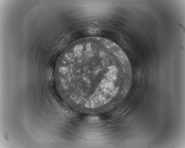 X0000101150651200807251049