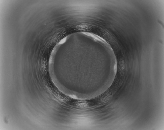 X0000101150653200807251049