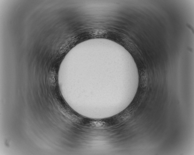 X0000101150654200807251049