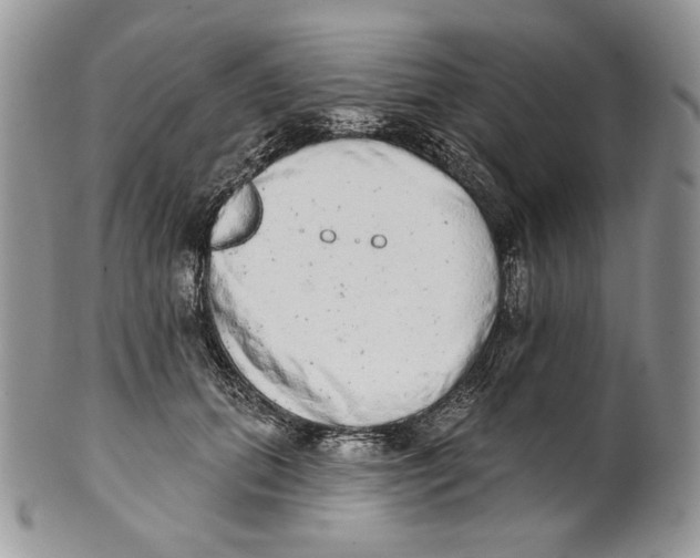 X0000101150655200807251049