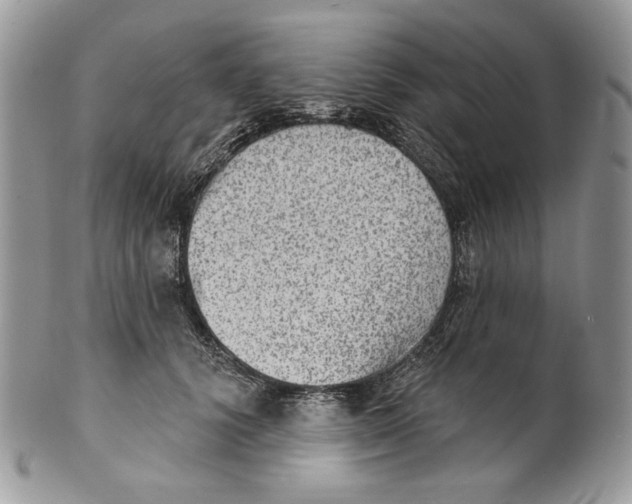 X0000101150656200807251049