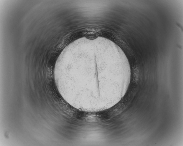 X0000101150657200807251049