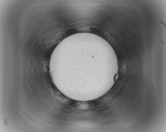 X0000101150658200807251049