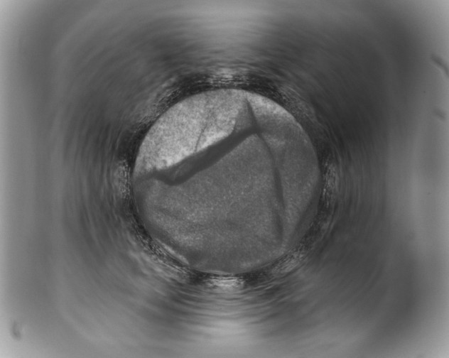 X0000101150659200807251049