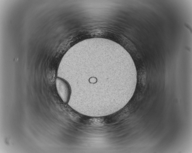 X0000101150660200807251049