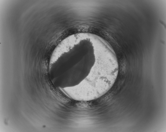 X0000101150661200807251049