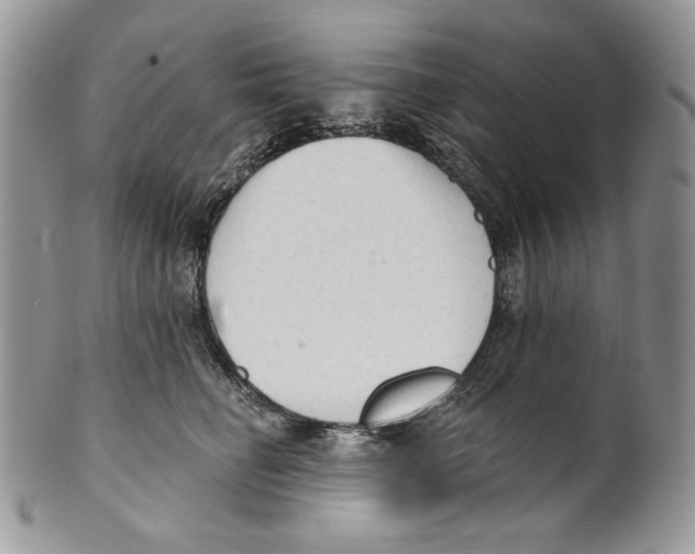 X0000101150662200807251049