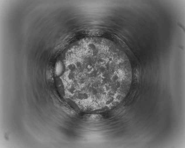 X0000101150663200807251049