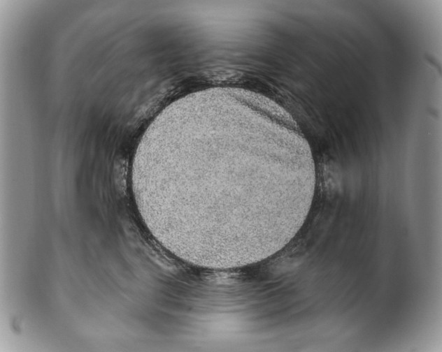 X0000101150664200807251049