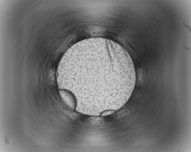 X0000101150667200807251049