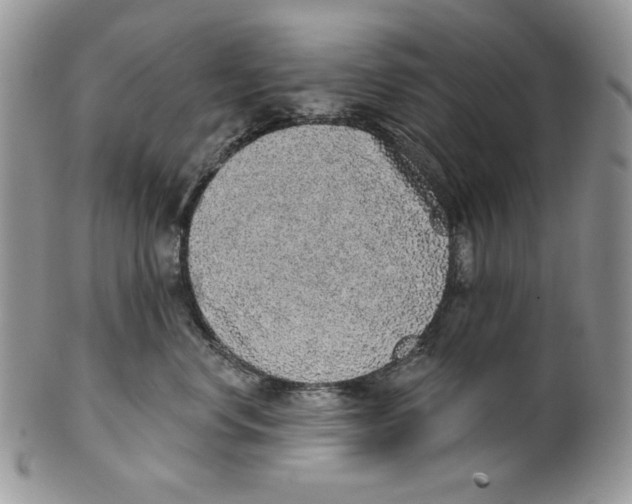 X0000101150668200807251049