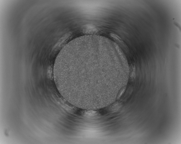 X0000101150669200807251049