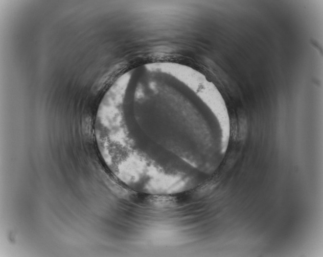 X0000101150670200807251049