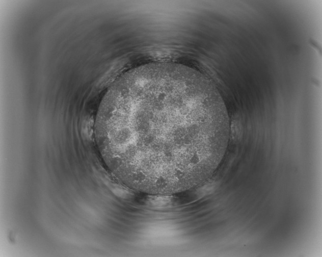 X0000101150671200807251049