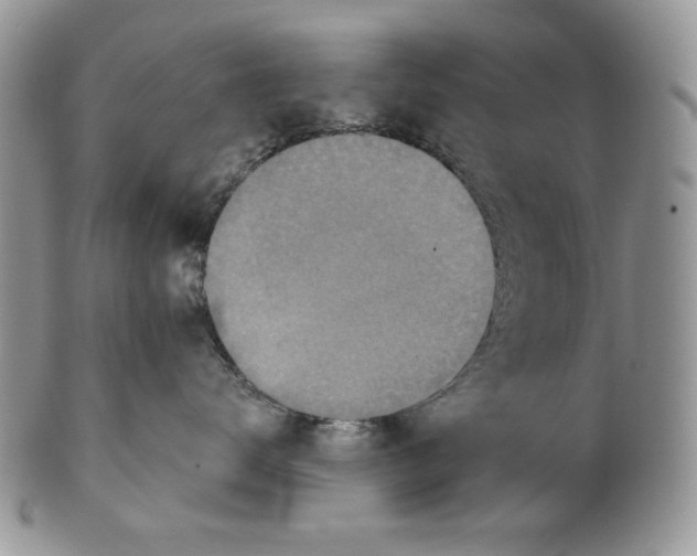 X0000101150672200807251049