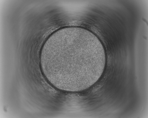 X0000101150673200807251049