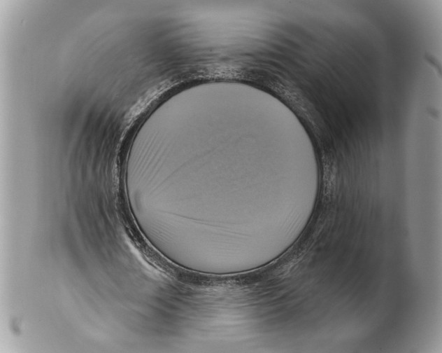 X0000101150674200807251049