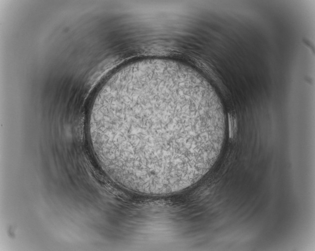 X0000101150675200807251049