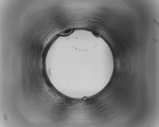 X0000101150676200807251049