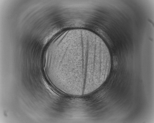 X0000101150677200807251049
