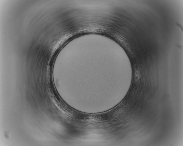 X0000101150678200807251049