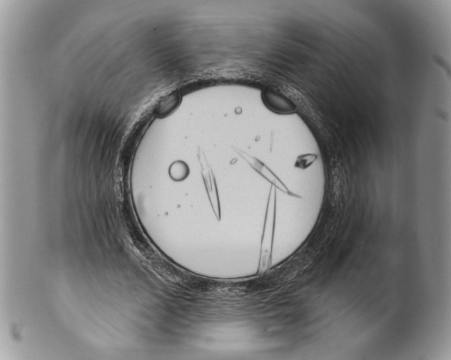 X0000101150680200807251049