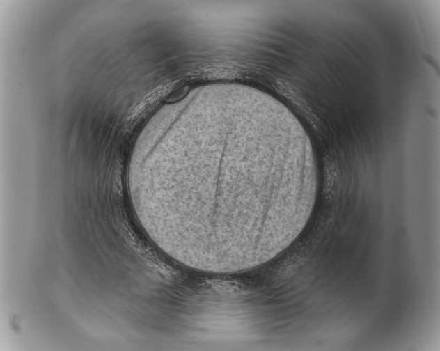 X0000101150681200807251049
